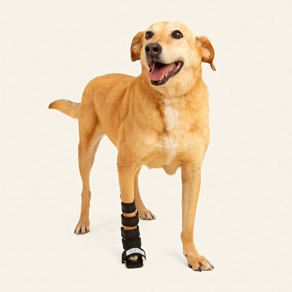 Ferulas moldeables talla #3