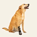 Ferulas moldeables talla #3