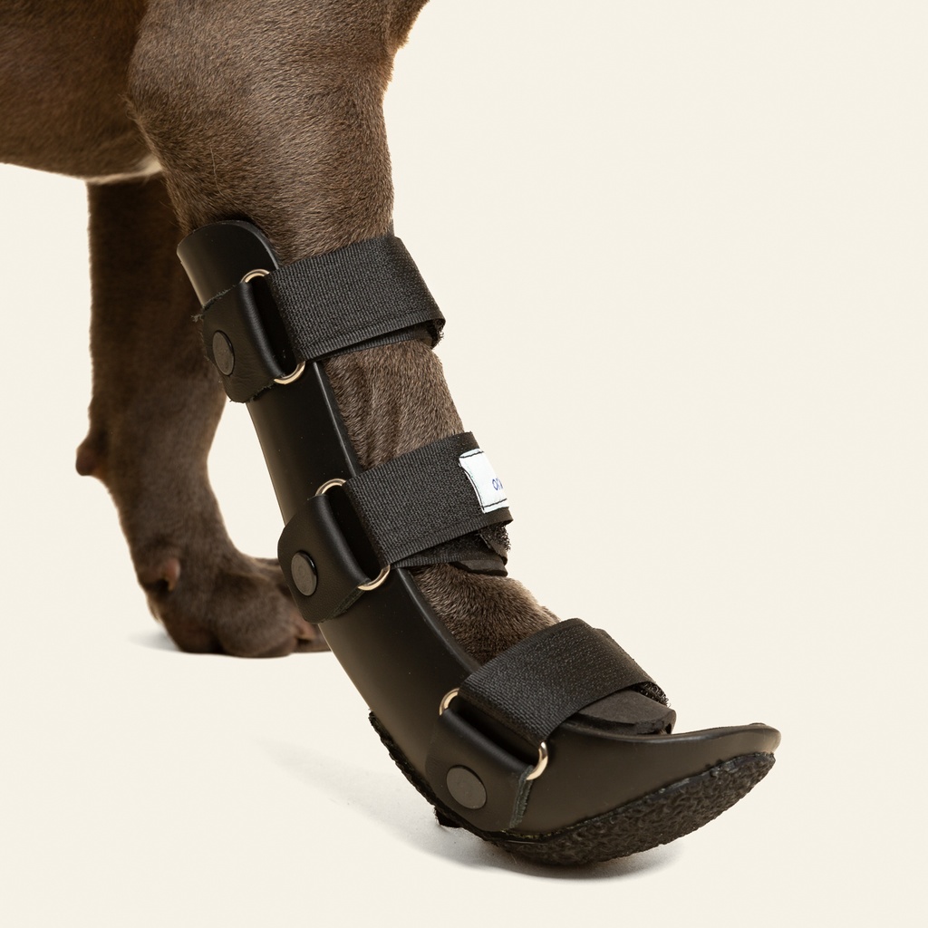 Ferulas rigida Delantera talla #1