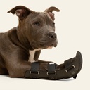 Ferulas rigida Delantera talla #2