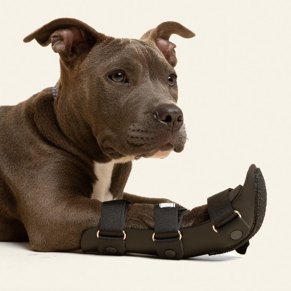 Ferulas rigida Delantera talla #4