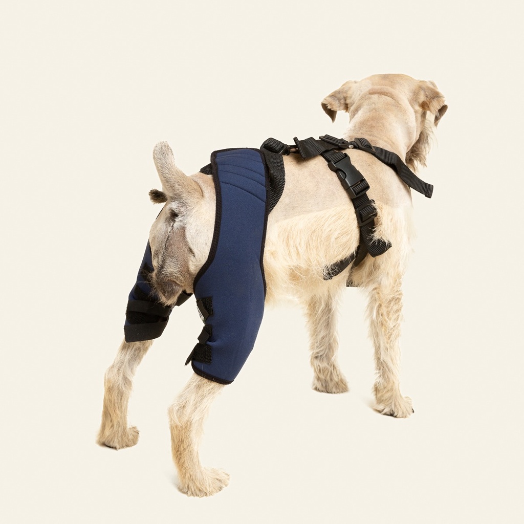 Rodillera dobles talla #2