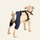 Rodillera dobles talla #2