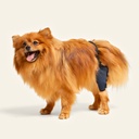 Rodillera izquierda talla #5