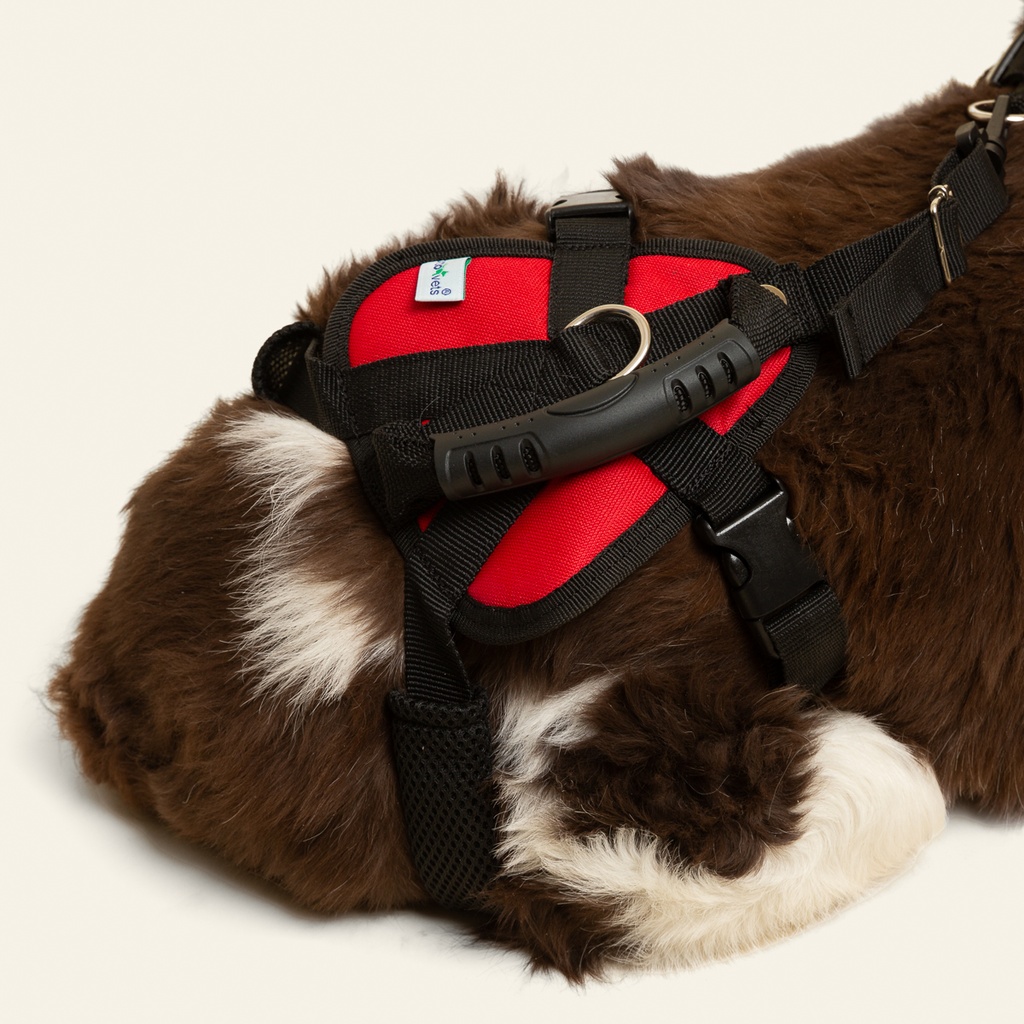 Arnes de ayuda completo talla #1