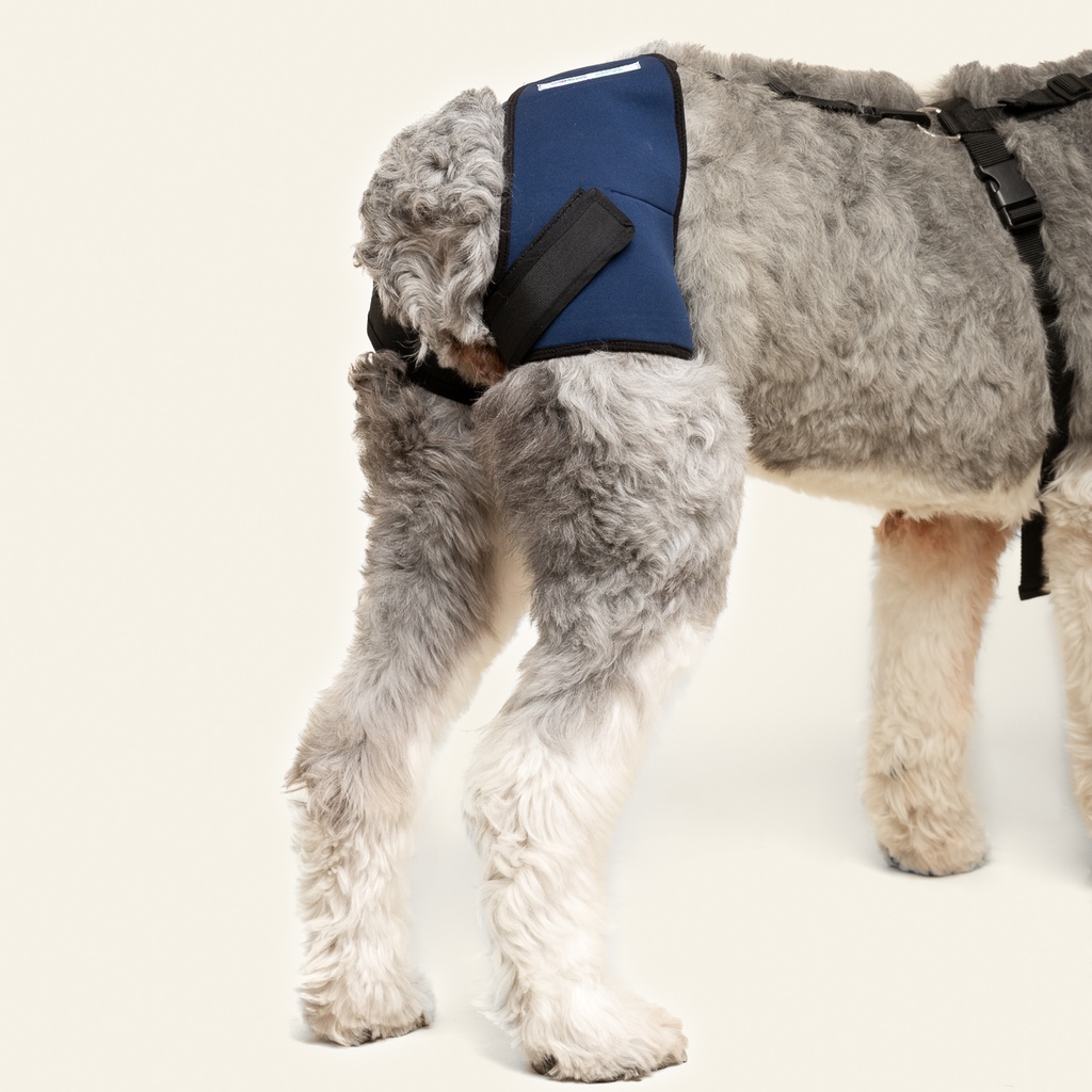 Soporte de cadera talla #4