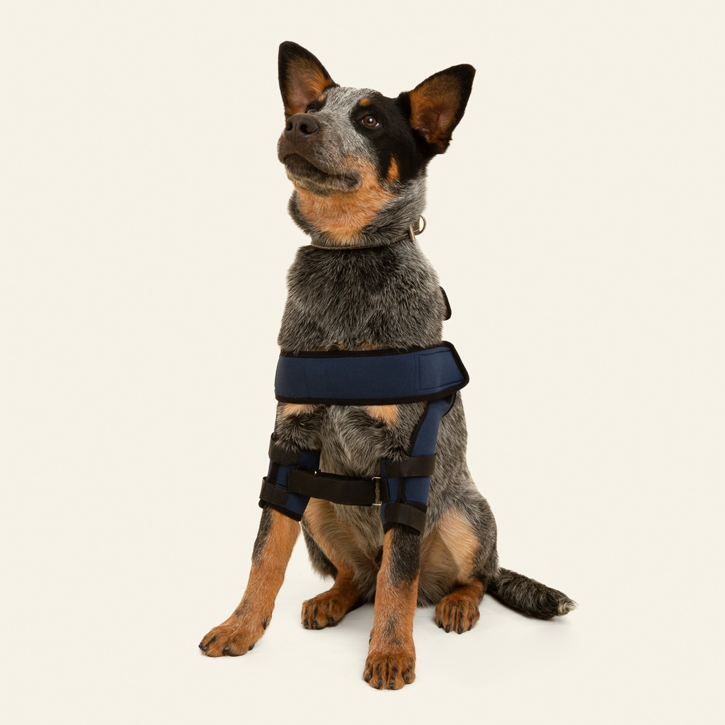 Soporte de hombro talla #1