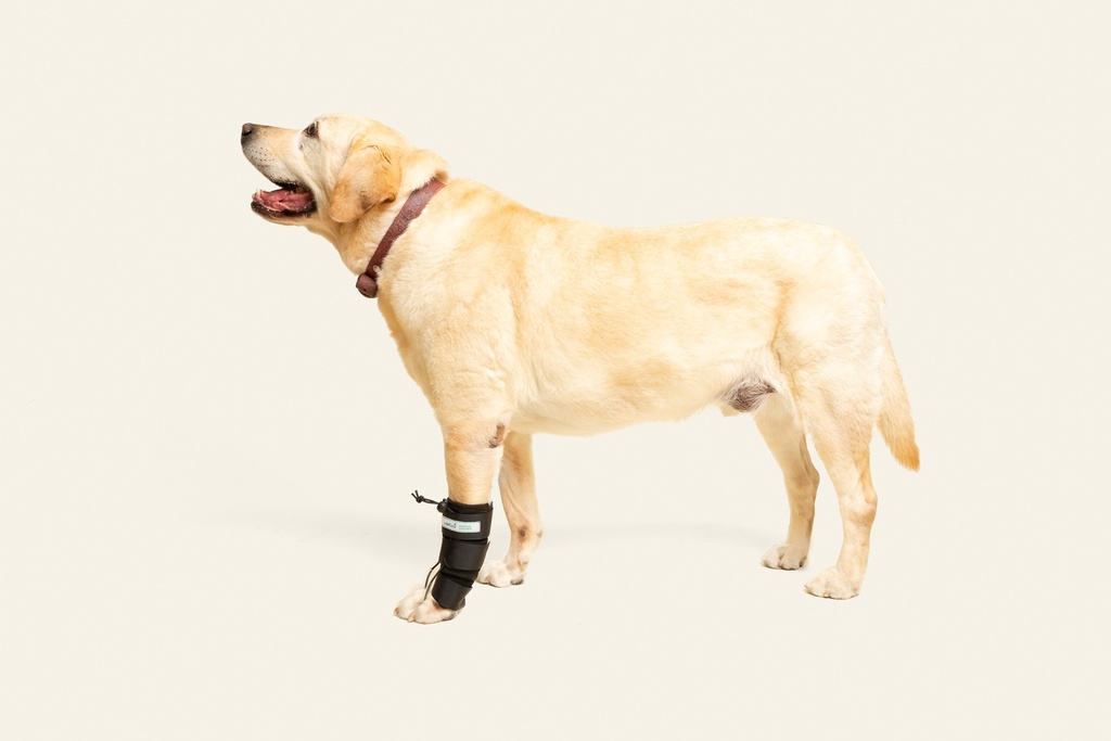 Tensor de dedos delantero talla #1