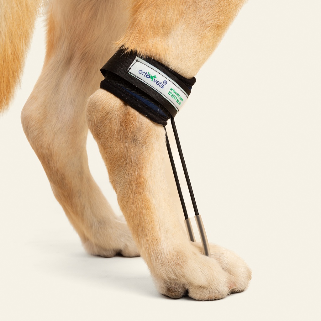 Tensor de dedos trasero talla #3