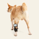 Tobillera talla #1 (protector articular para tarso)