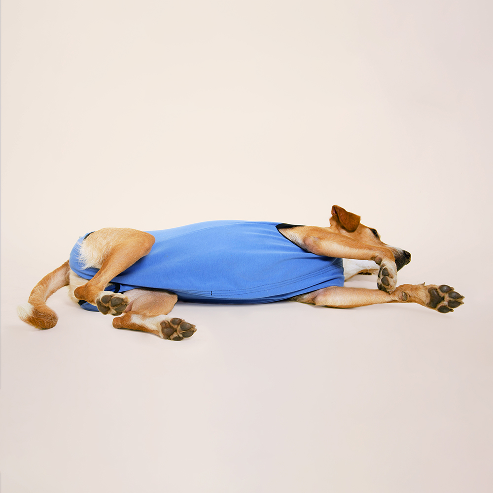 Trajes post quirurgicos talla 10