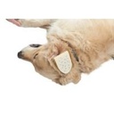 BUSTER Compresa esteril p/otohematomas 12x8 cm