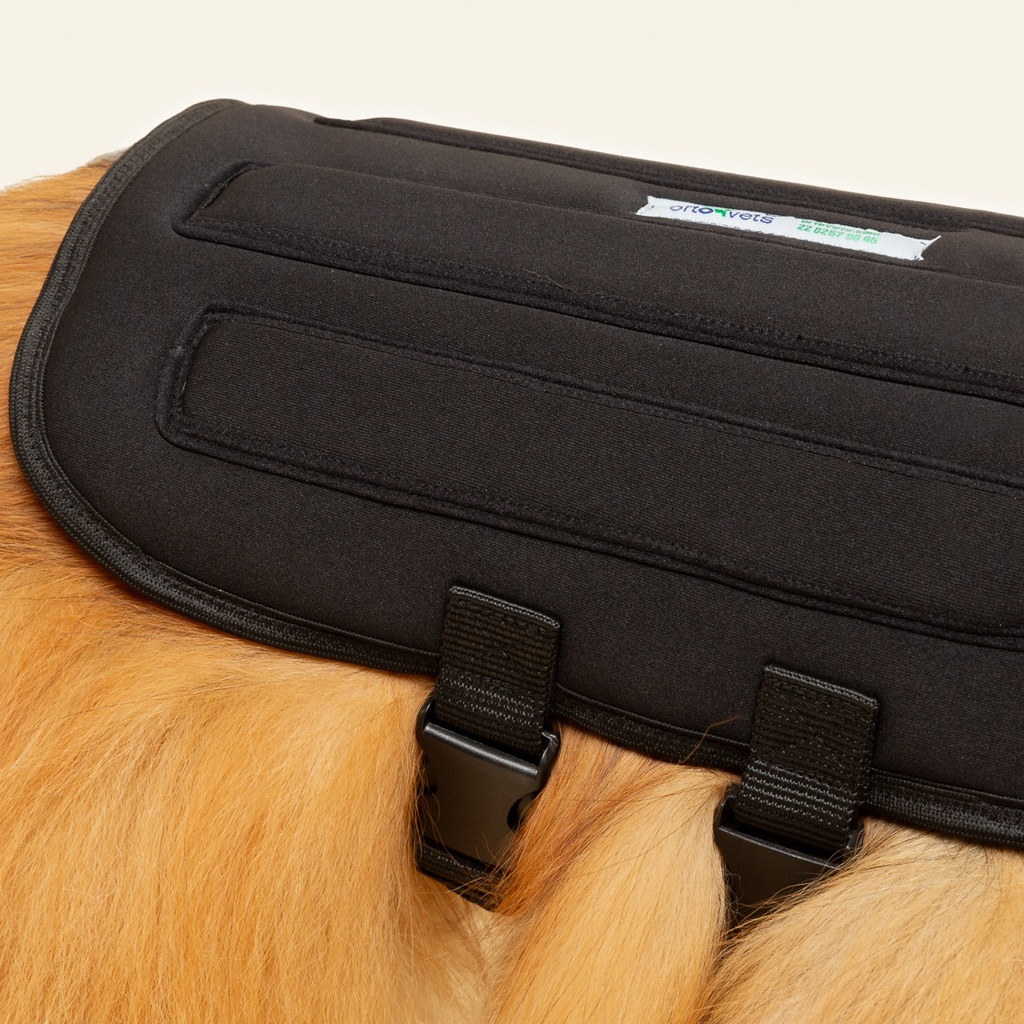 Chaleco de soporte toracolumbar talla 4