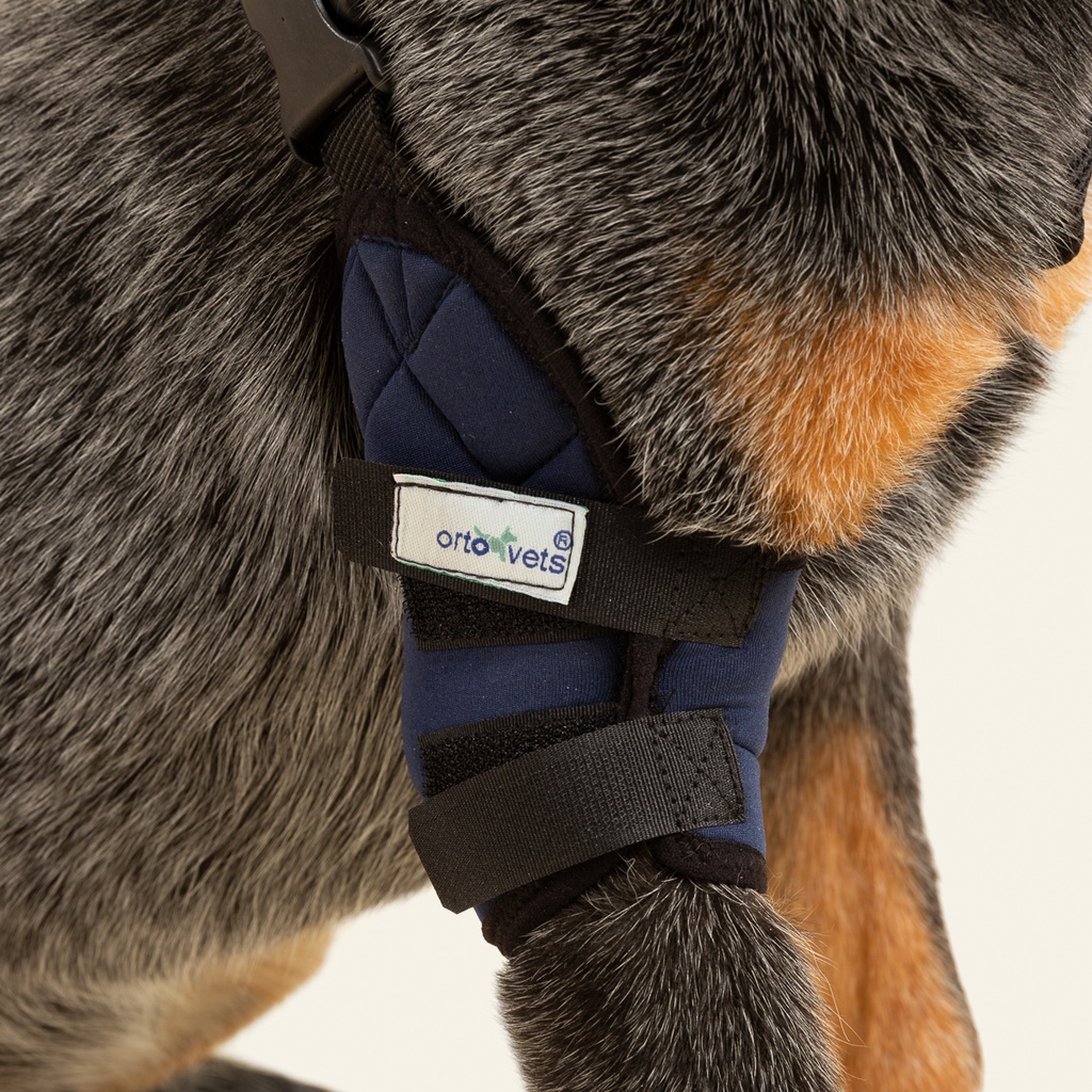 Codera derecha talla #4 (protector articular para codo)