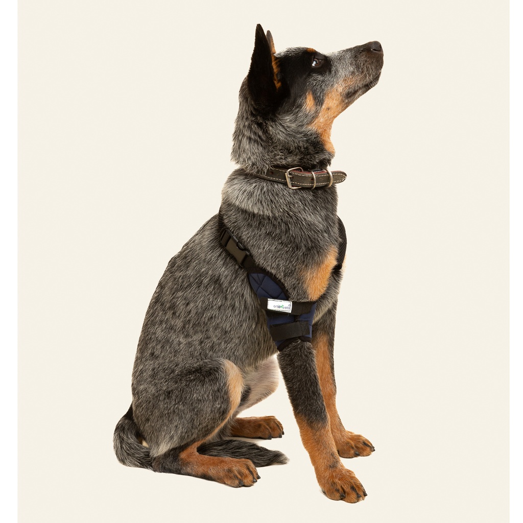 Codera derecha talla #9 (protector articular para codo)