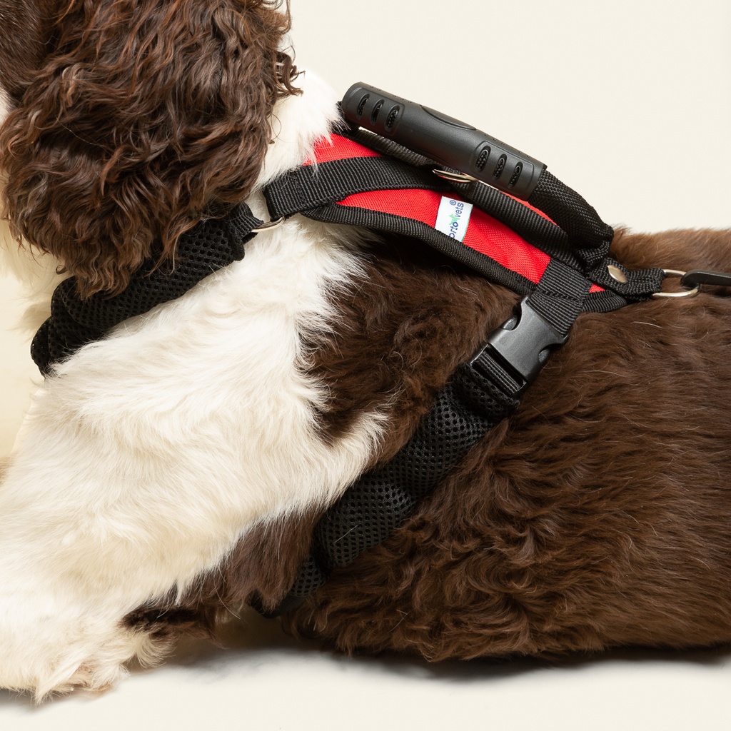 Arnes de ayuda completo talla #3 (soporte delantero y trasero con correa)