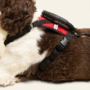 Arnes de ayuda completo talla #4