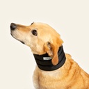 Collarin inmovilizador talla #7