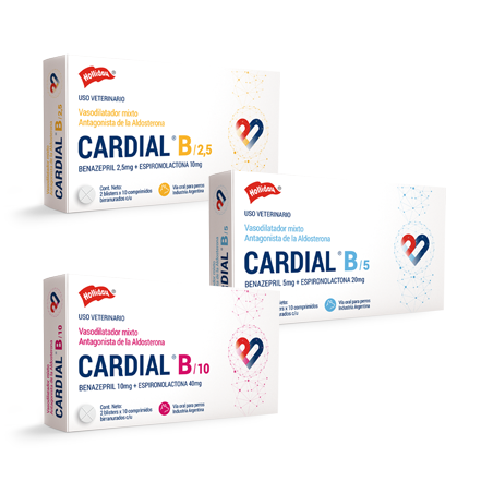 Cardial B 10, 20 Comprimidos