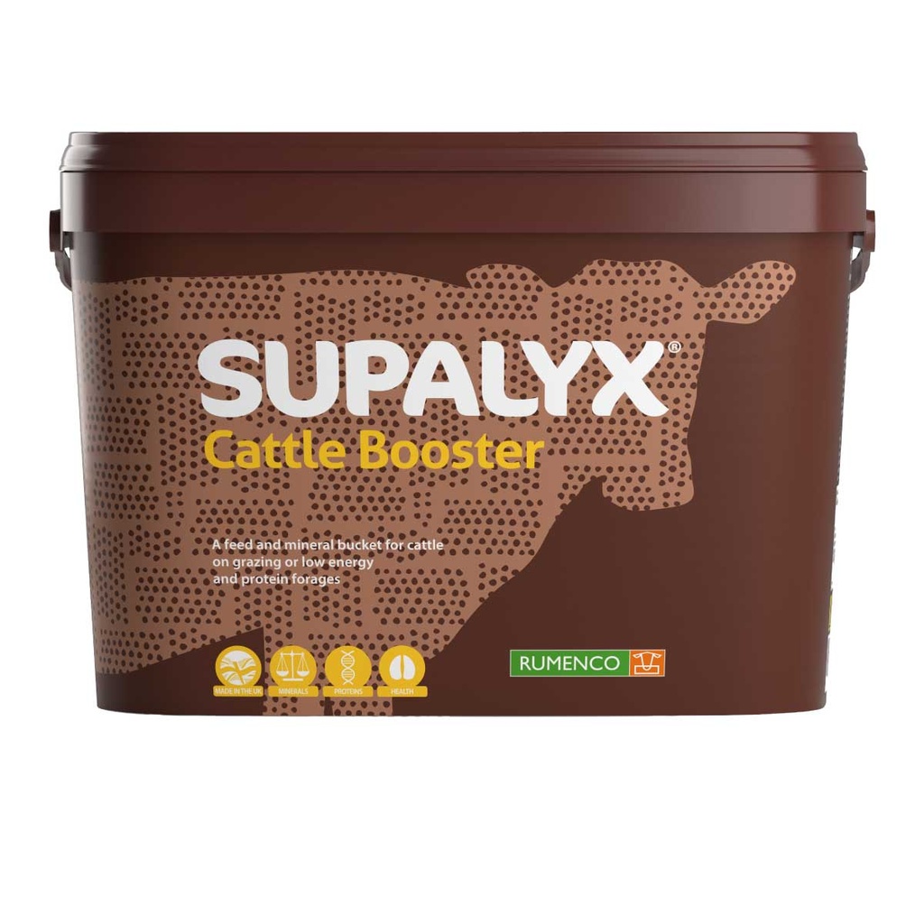 Supalyx Cattle Booster