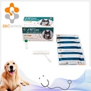 Early Pregnacy Rapid Test Dog