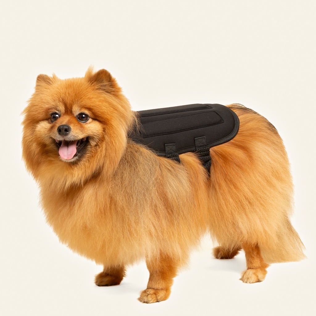 Chaleco de soporte toracolumbar talla 4