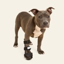 Ferulas rigida Delantera talla #4