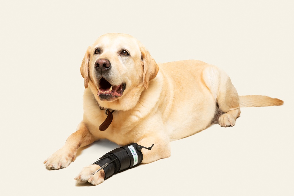 Tensor de dedos delantero talla #1