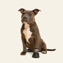 Bota para deficit propioceptivo talla #3