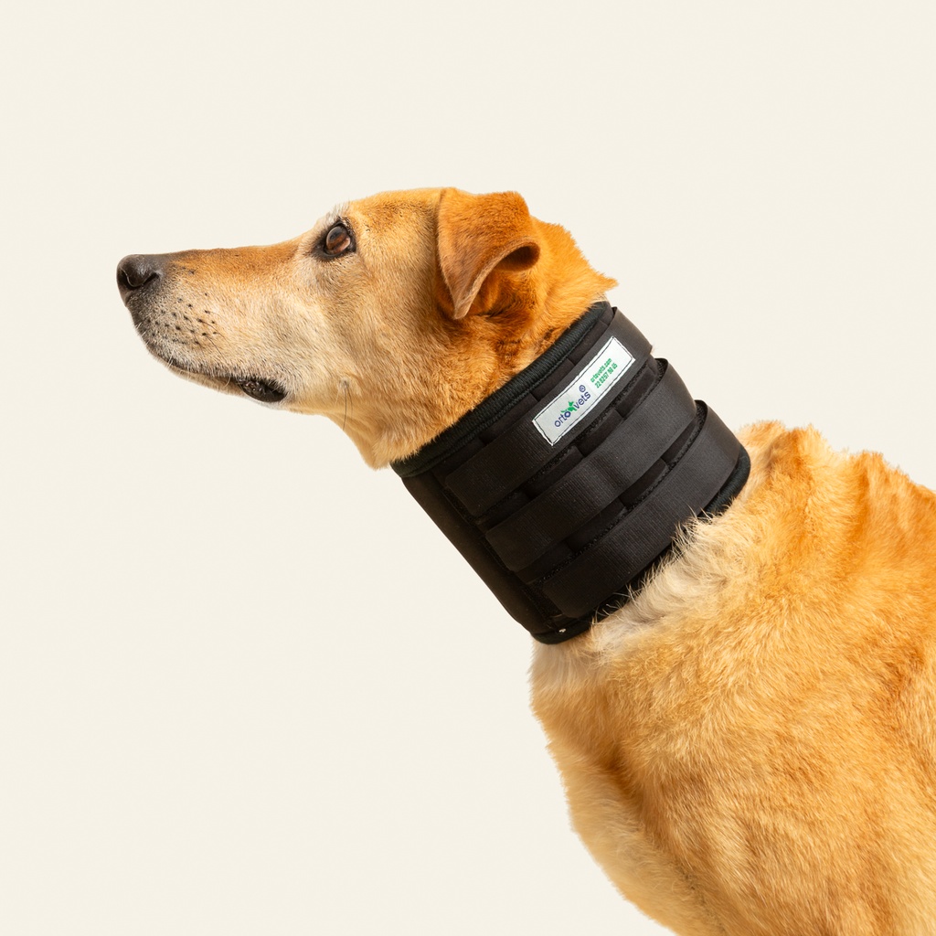 Collarin inmovilizador talla #4