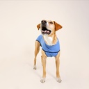 Trajes post quirurgicos talla 8