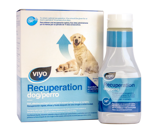 [420043-703242] VIYO Recuperacion Perro