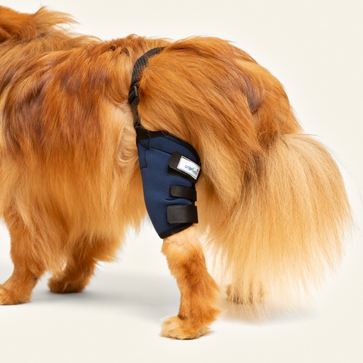 [ortov093] Rodillera izquierda talla #4