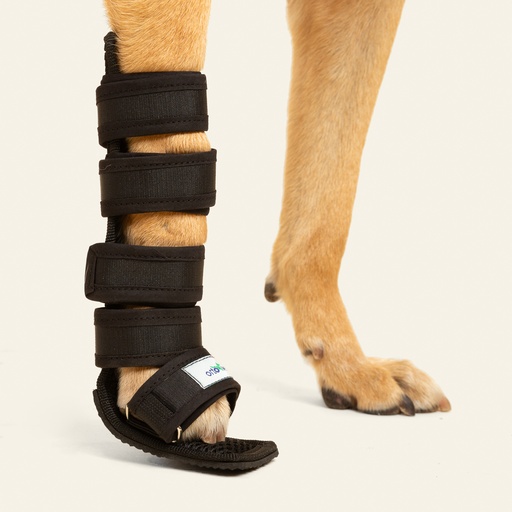 [ortov052] Ferulas moldeables talla #4