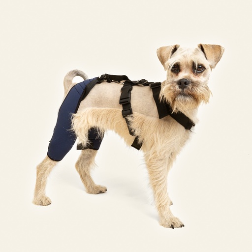 [ortov082] Rodillera dobles talla #1