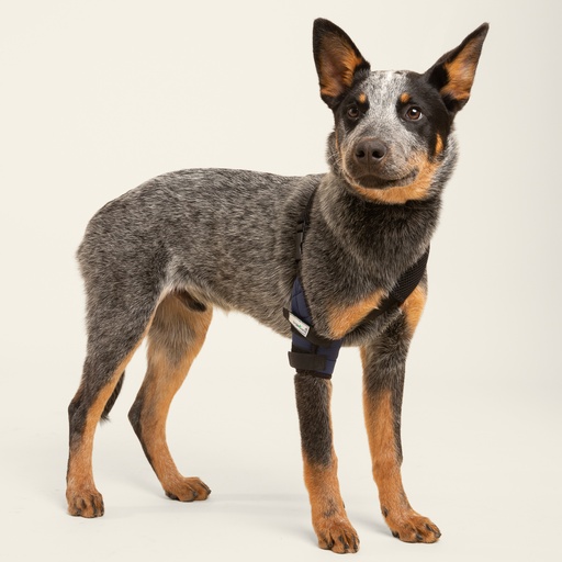 [ortov020] Codera derecha talla #8 (protector articular para codo)