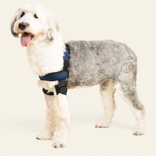 [ortov027] Codera doble talla #7