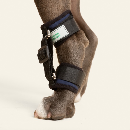 [ortov043] Corrector de hiperextension de tarso talla #2