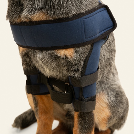 [ortov111] Soporte de hombro talla #7