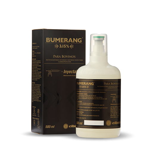 [Cib-0016] Bumerang 3.15 x 500 ml